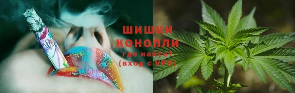 дурь Богородицк