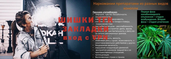 apvp Бугульма