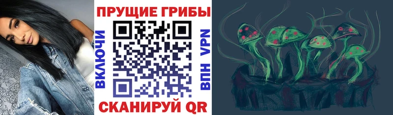 даркнет сайт  Инсар  Галлюциногенные грибы ЛСД 